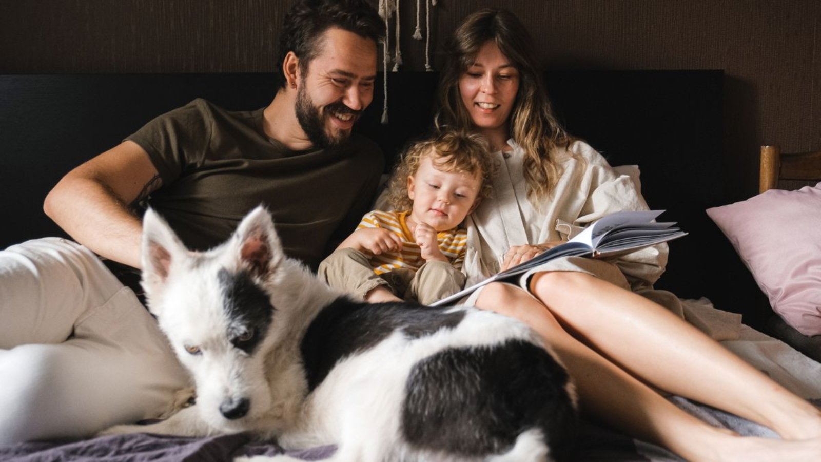 Family building a shared reading routine together at home